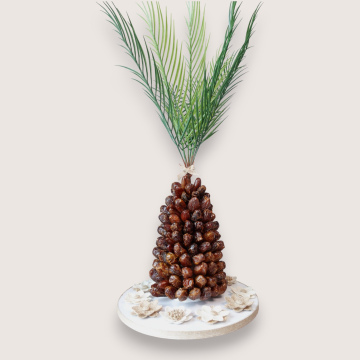 Date Palm Tree